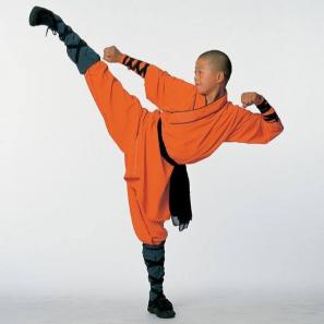 Cos'è il kung fu?